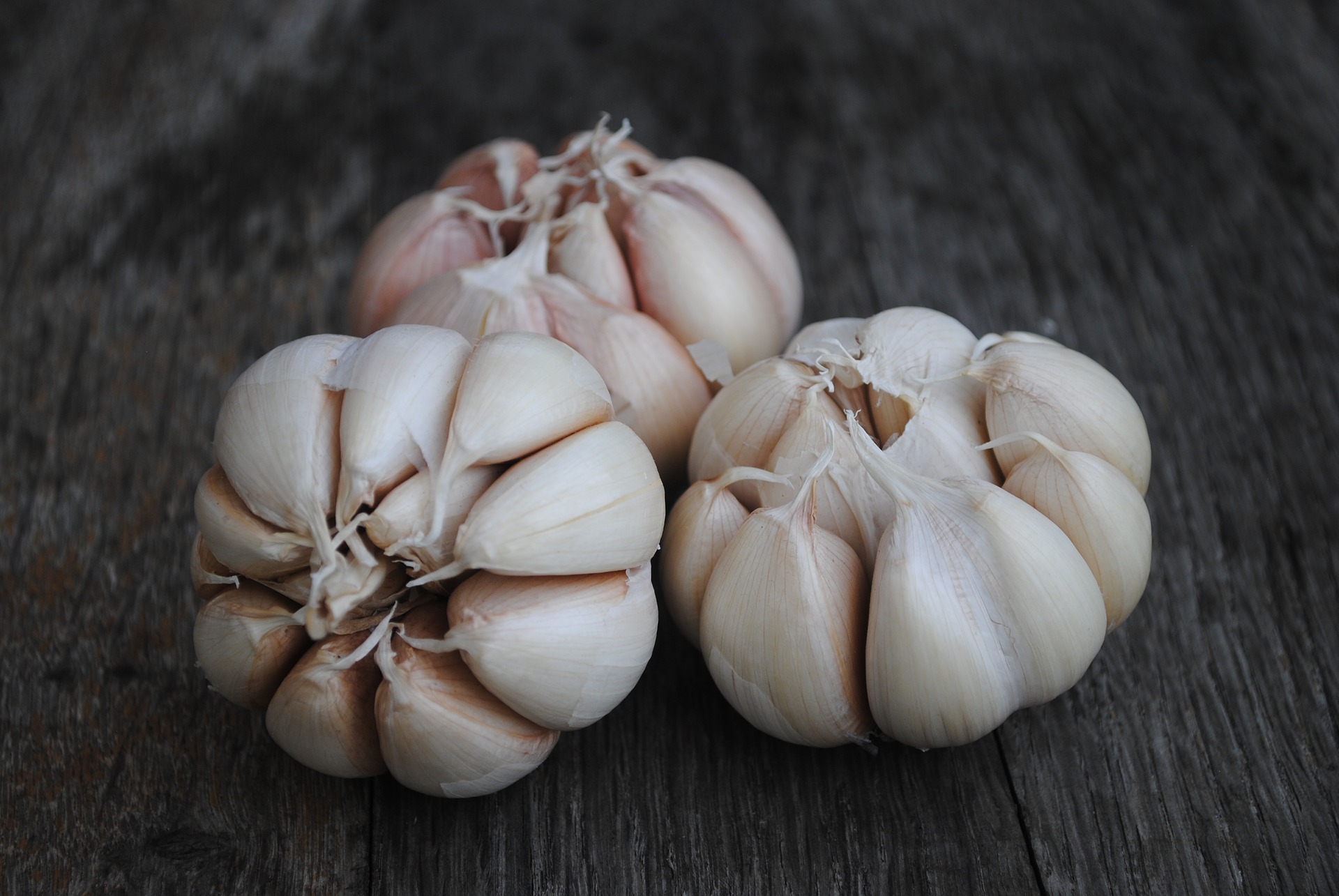 garlic